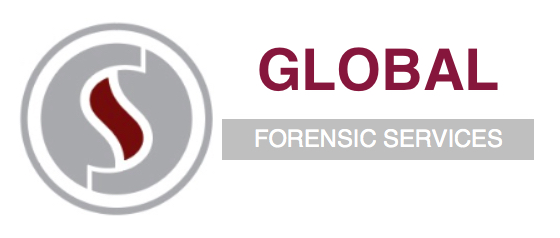 Expert Witness Larry F. Stewart Expert Witness Larry F. Stewart